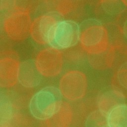 Bokeh-450